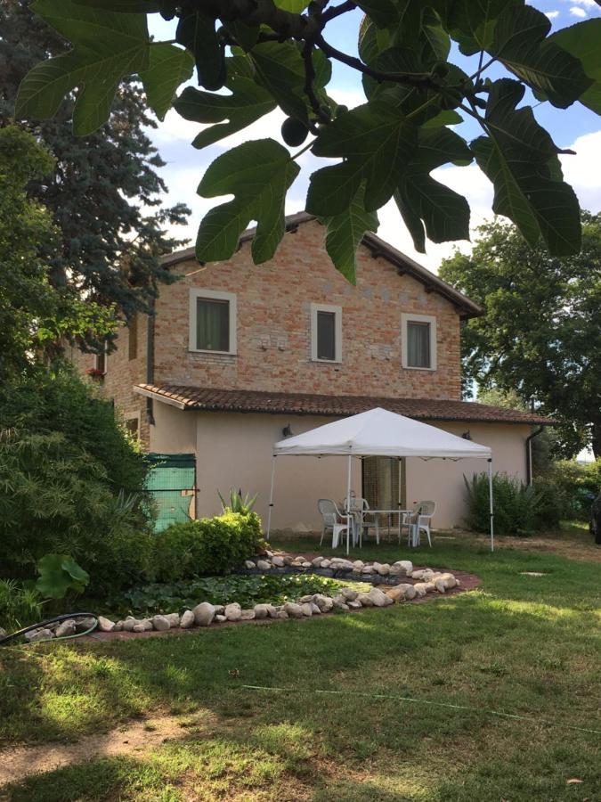 Fiordiloto Apartment Monsampolo Del Tronto Exterior photo